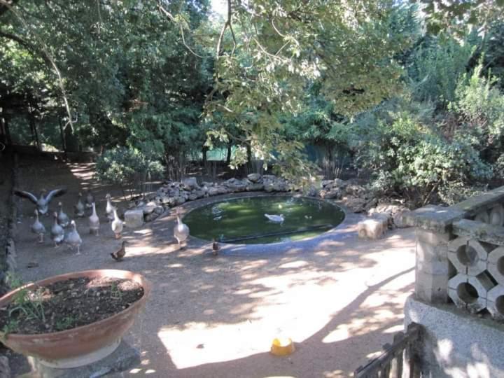 Parco Delle Streghe Villa Scarlino Exteriör bild