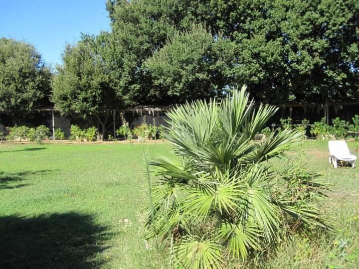 Parco Delle Streghe Villa Scarlino Exteriör bild