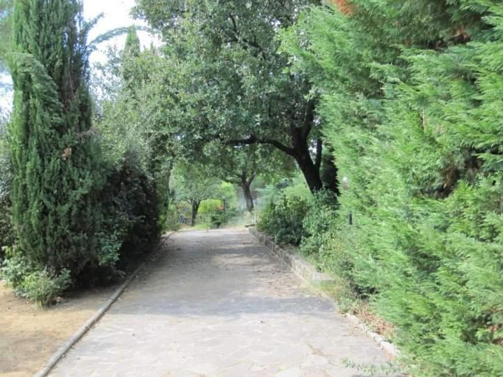 Parco Delle Streghe Villa Scarlino Exteriör bild