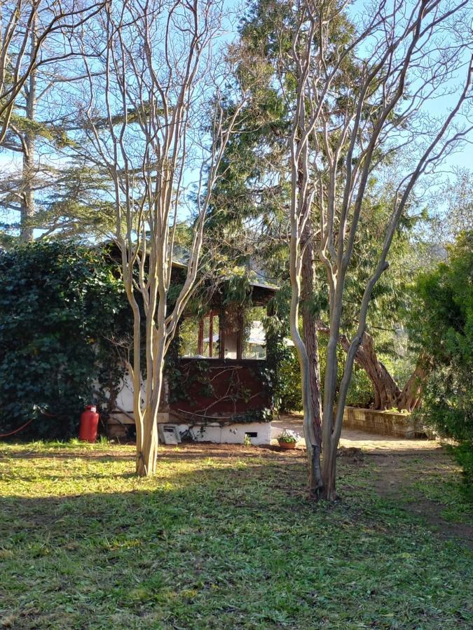 Parco Delle Streghe Villa Scarlino Exteriör bild